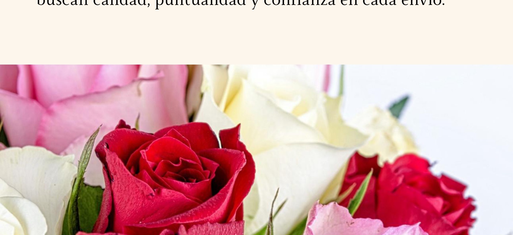 Rosas rojas, rosa y crema listas para exportación